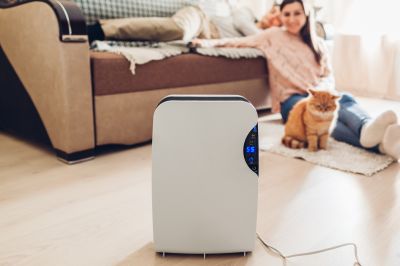Humidifier Filter Replacement in Sarasota, FL